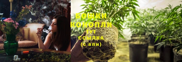 ПСИЛОЦИБИНОВЫЕ ГРИБЫ Богородицк