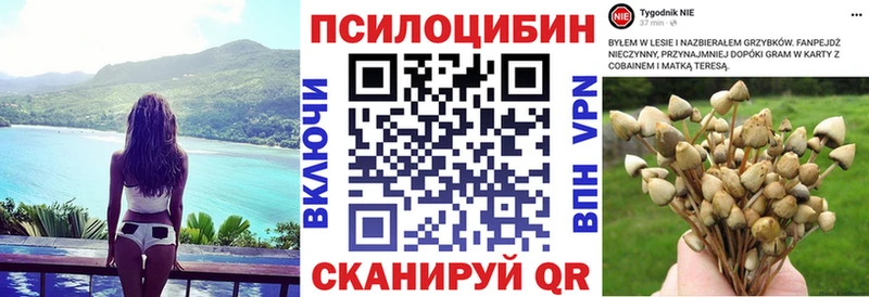 Псилоцибиновые грибы MAGIC MUSHROOMS Гудермес